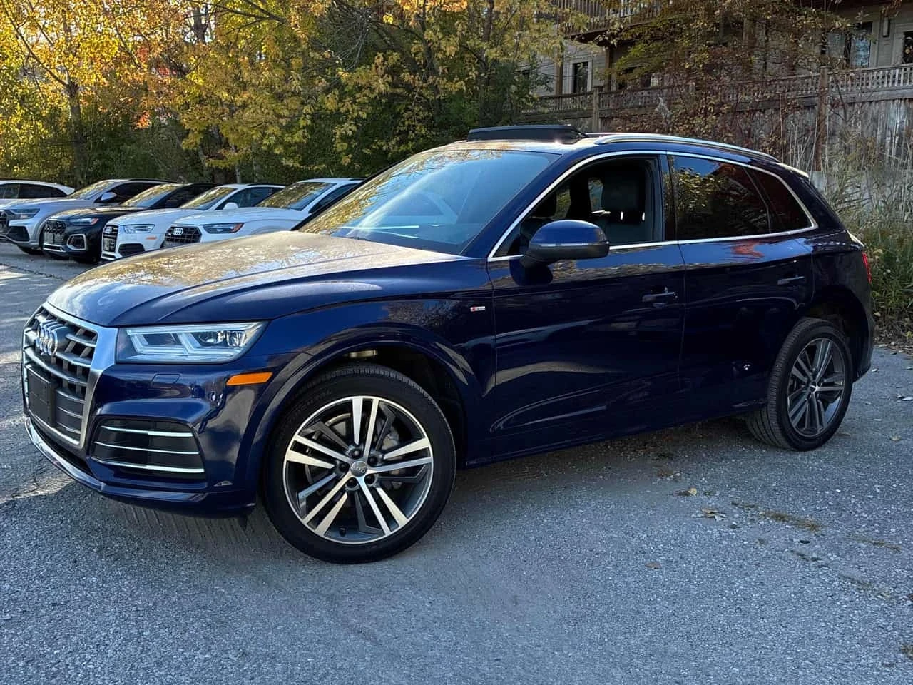 Audi Q5 * Technik * ���������� ��� ������������ ������*  | Mobile.bg � ����������� 2