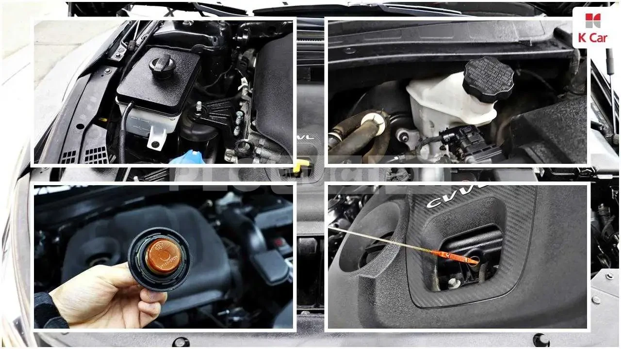 Kia K5 2019 | Mobile.bg � ����������� 10