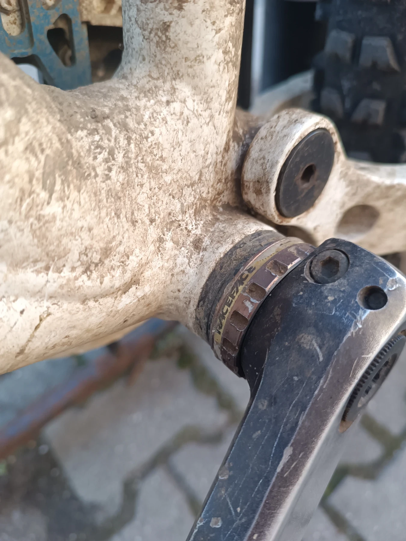 ��������� DH | Mobile.bg � ����������� 11