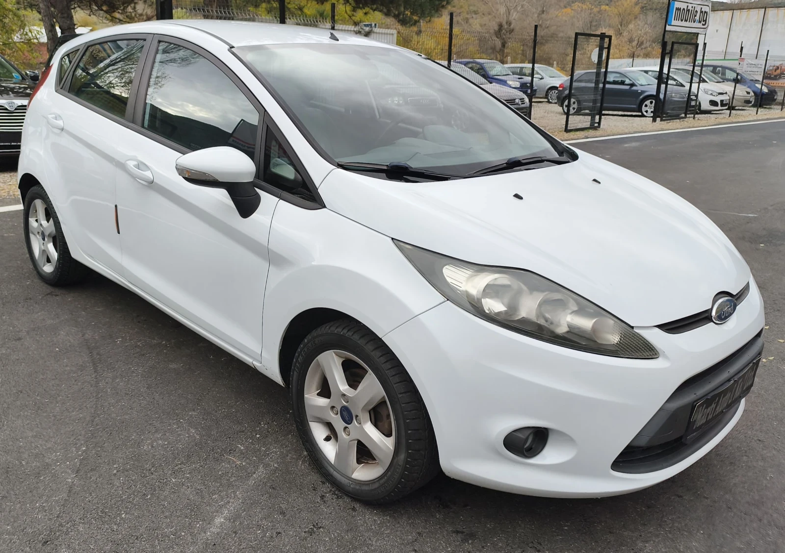 Ford Fiesta 1.4 TDCI - изображение 2