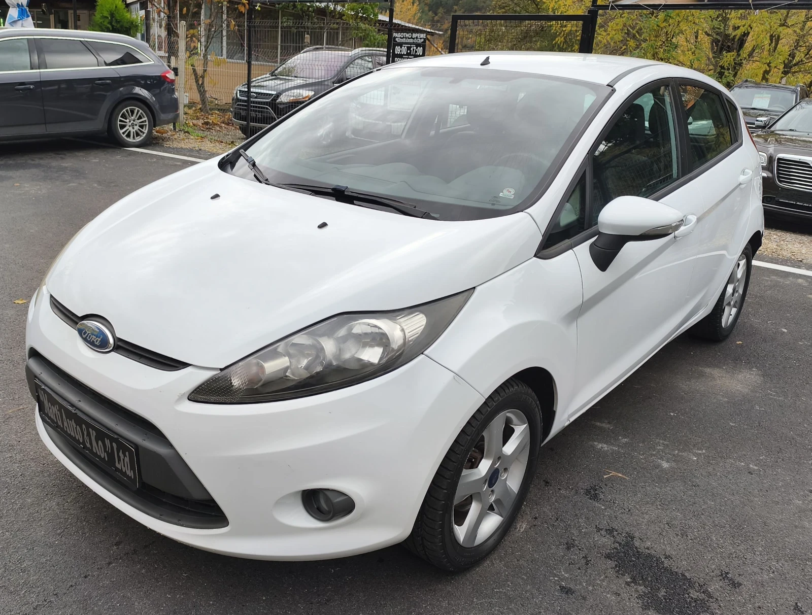Ford Fiesta 1.4 TDCI - изображение 4