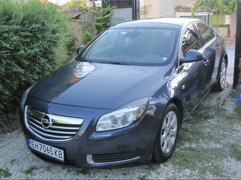 Opel Insignia, снимка 1 - Автомобили и джипове - 47436066