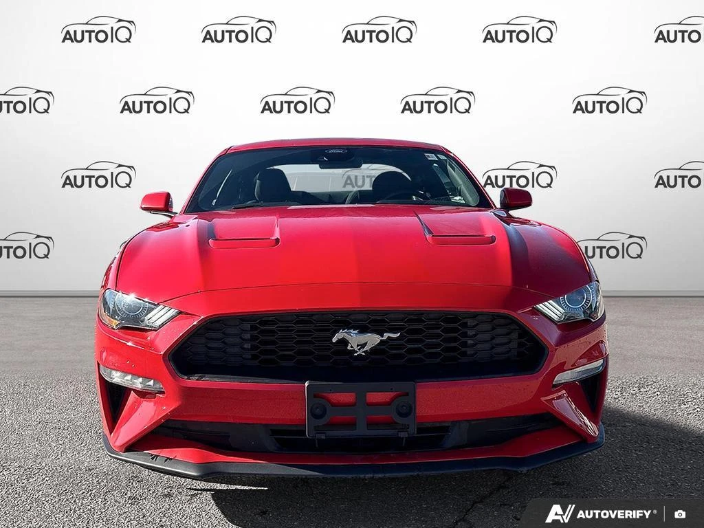 Ford Mustang, снимка 2 - Автомобили и джипове - 53956051
