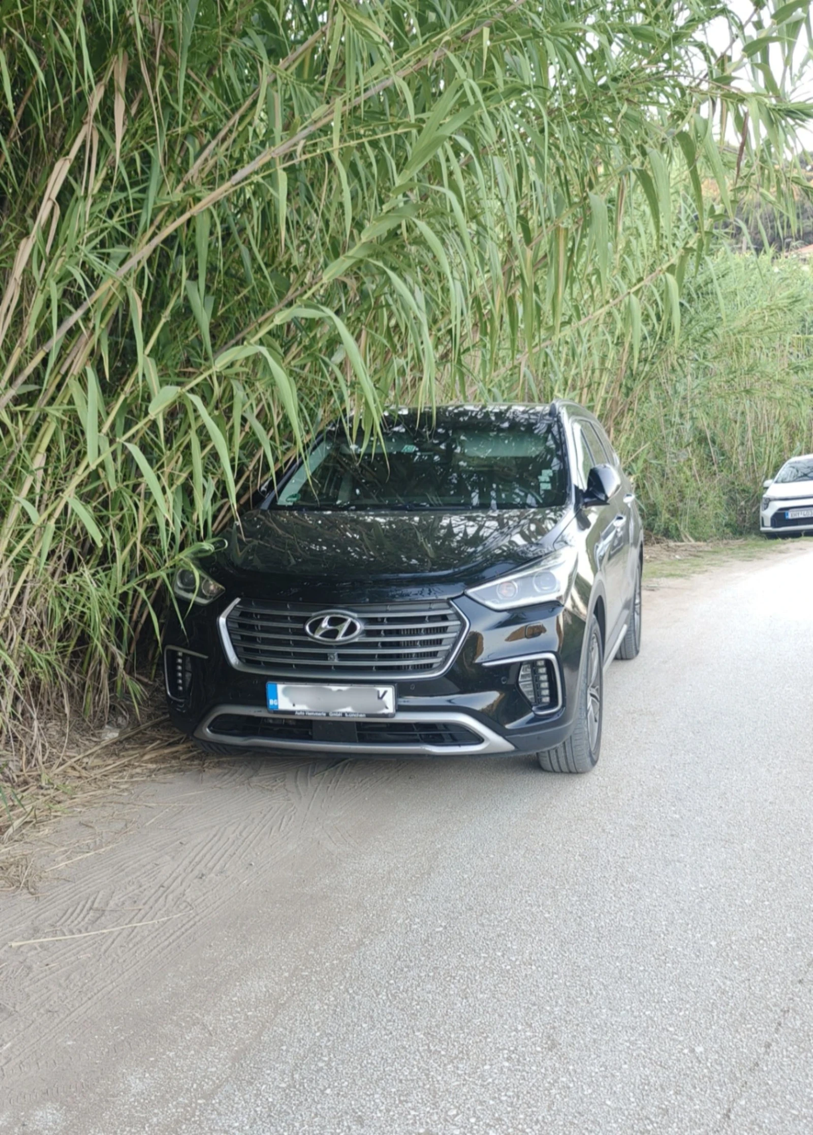 Hyundai Santa fe Grand Santa Fe    | Mobile.bg � ����������� 2