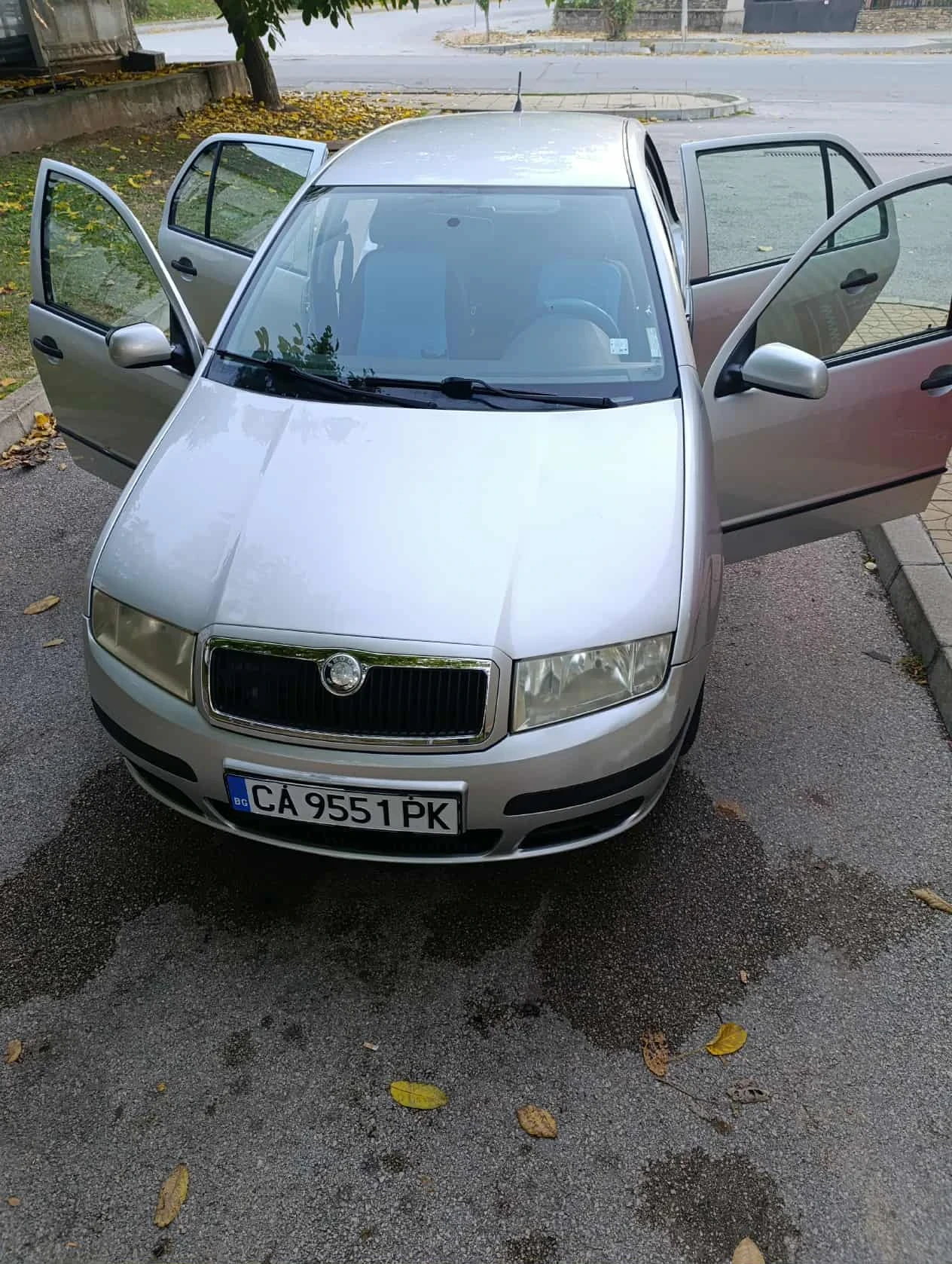 Skoda Fabia Газ/бензин - изображение 6