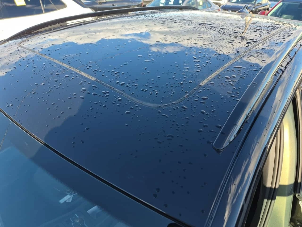 VW Tiguan Comfortline R Line Black Edition * CARFAX *  | Mobile.bg � ����������� 12