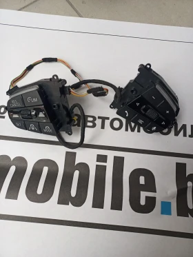 Бутони мултиволан БМВ, снимка 1