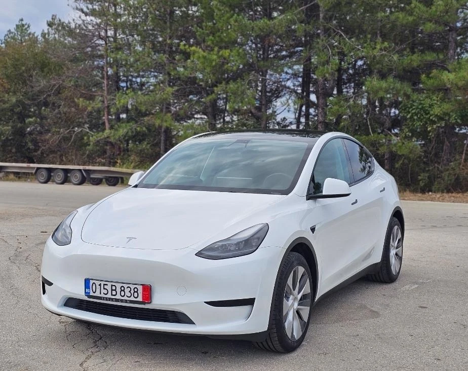 Tesla Model Y 2023 LFP Warranty - изображение 9
