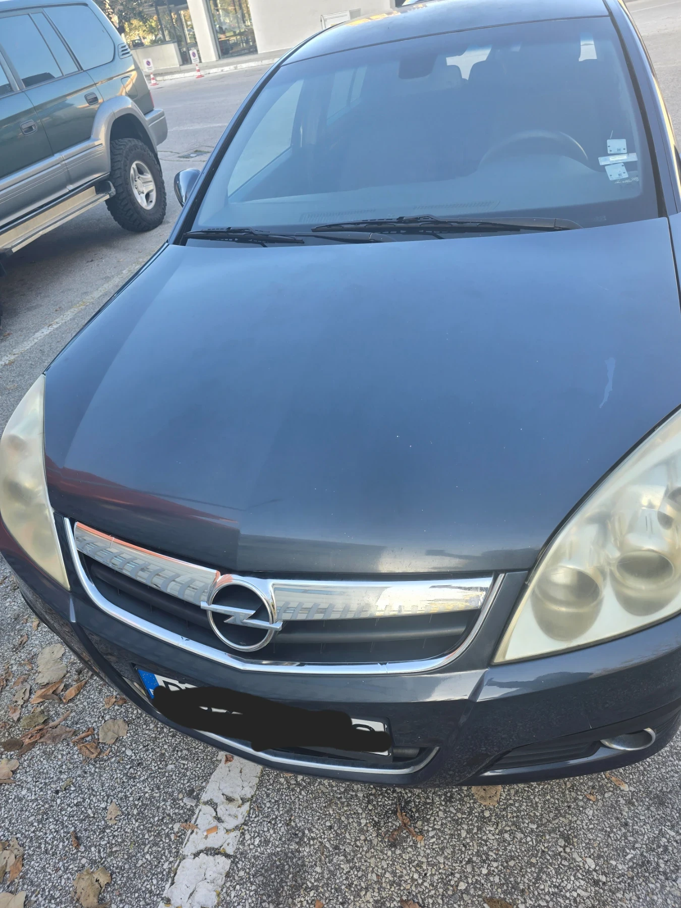 Opel Signum 1.9 CDTI ()  | Mobile.bg   17
