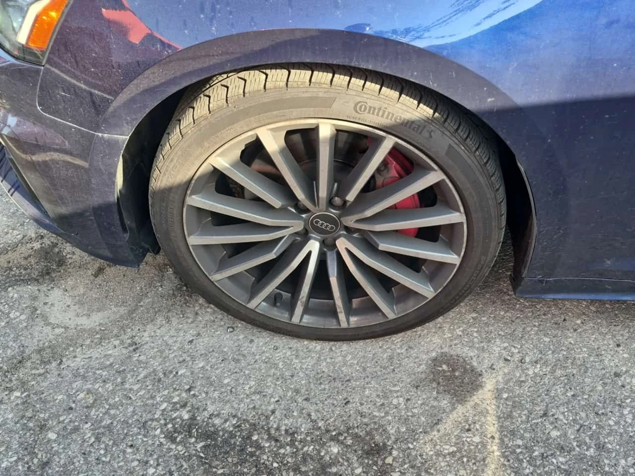 Audi A5  TECHNIK | ЦЕНА ДО БЪЛГАРИЯ | MATRIX | 360 , снимка 8 - Автомобили и джипове - 55165327