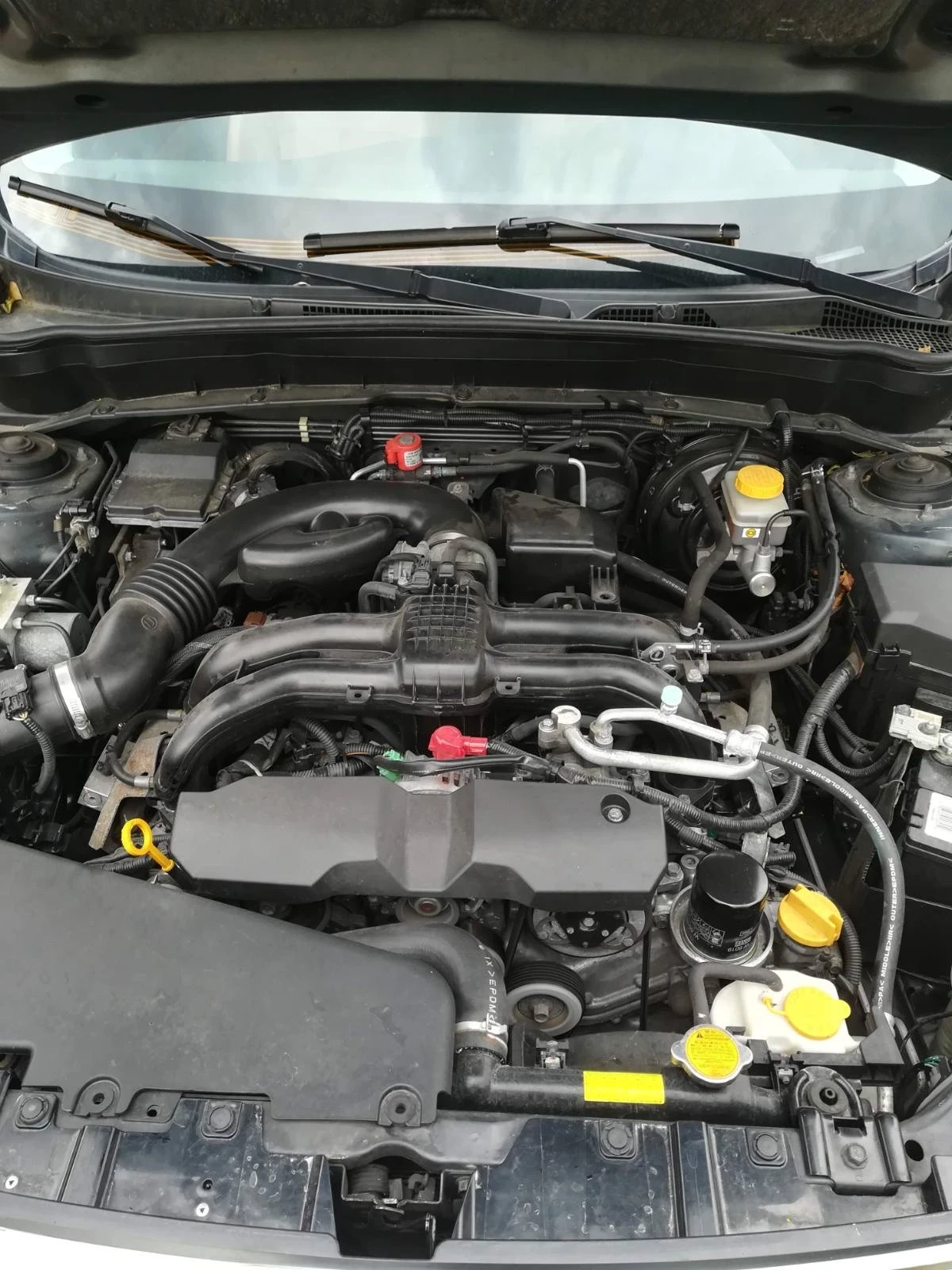 Subaru Forester 2.0 AWD �������� ��� | Mobile.bg � ����������� 4