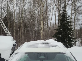 Nissan Rogue * SV * CARFAX * БЕЗ ПЪРВОНАЧАЛНА ВНОСКА - 35000 лв. / 17895.22 € - 14978928 4