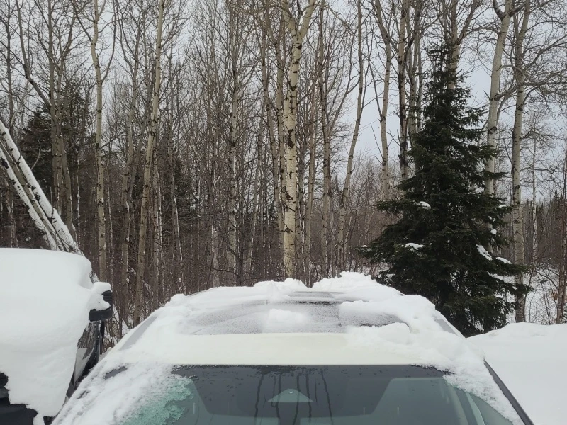 Nissan Rogue * SV * CARFAX * БЕЗ ПЪРВОНАЧАЛНА ВНОСКА, снимка 4 - Автомобили и джипове - 52929583