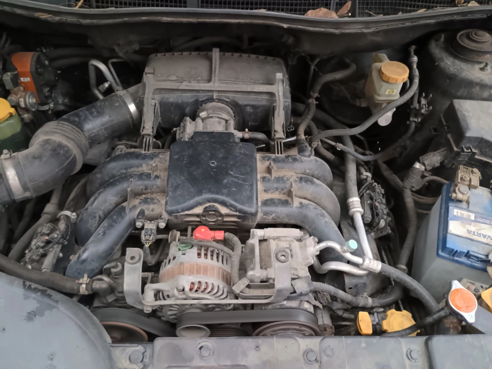 Subaru B10 Tribeka 3.6R - изображение 8