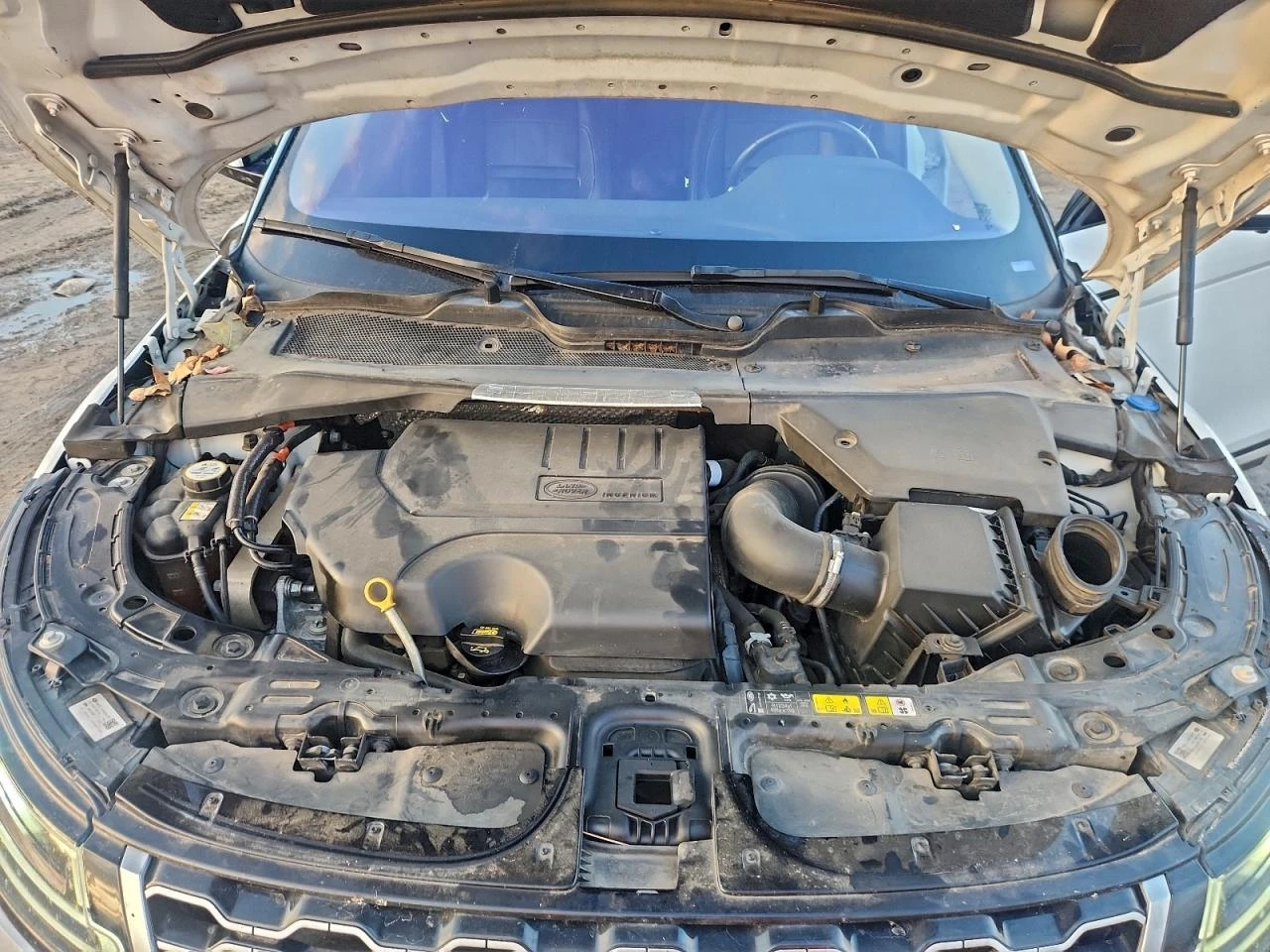 Land Rover Range Rover Evoque EVOQU* SE* ��������� | Mobile.bg � ����������� 12