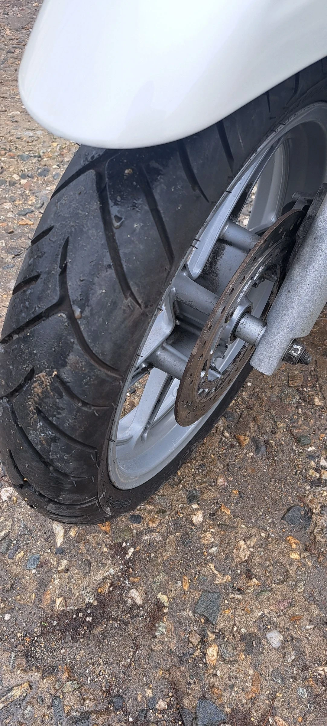 Honda Sh 300 perfecten  | Mobile.bg � ����������� 13