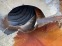 Обява за продажба на Бетон миксер Man 26322 ~16 500 EUR - изображение 11