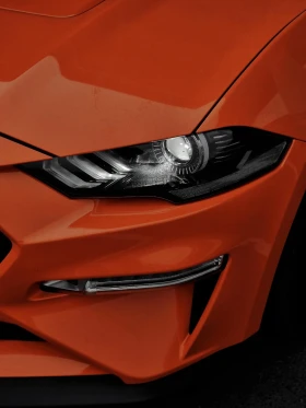 Ford Mustang 5.0 GT Performance  - 36965 € - 27303736 14