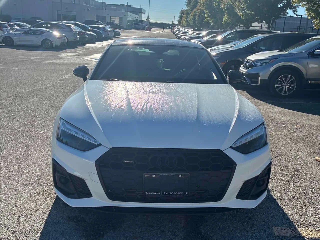 Audi A5 * PROGRESSIV * ���������� ��� ������������ ������ | Mobile.bg � ����������� 2