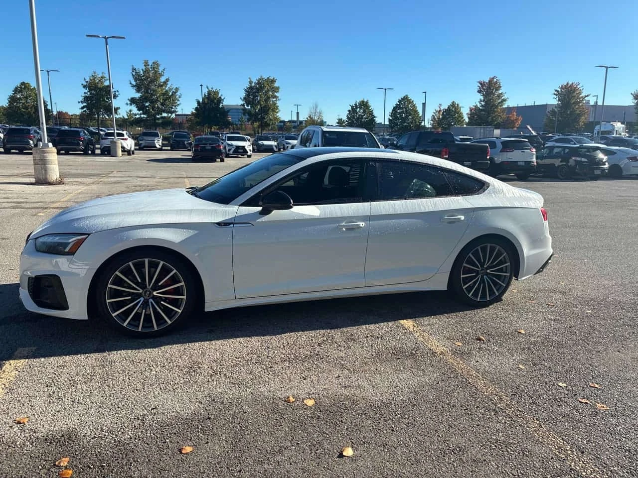 Audi A5 * PROGRESSIV * ���������� ��� ������������ ������ | Mobile.bg � ����������� 3