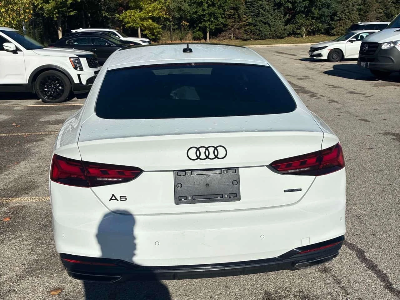 Audi A5 * PROGRESSIV * ���������� ��� ������������ ������ | Mobile.bg � ����������� 5