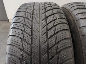Гуми Зимни 225/55R17, снимка 1