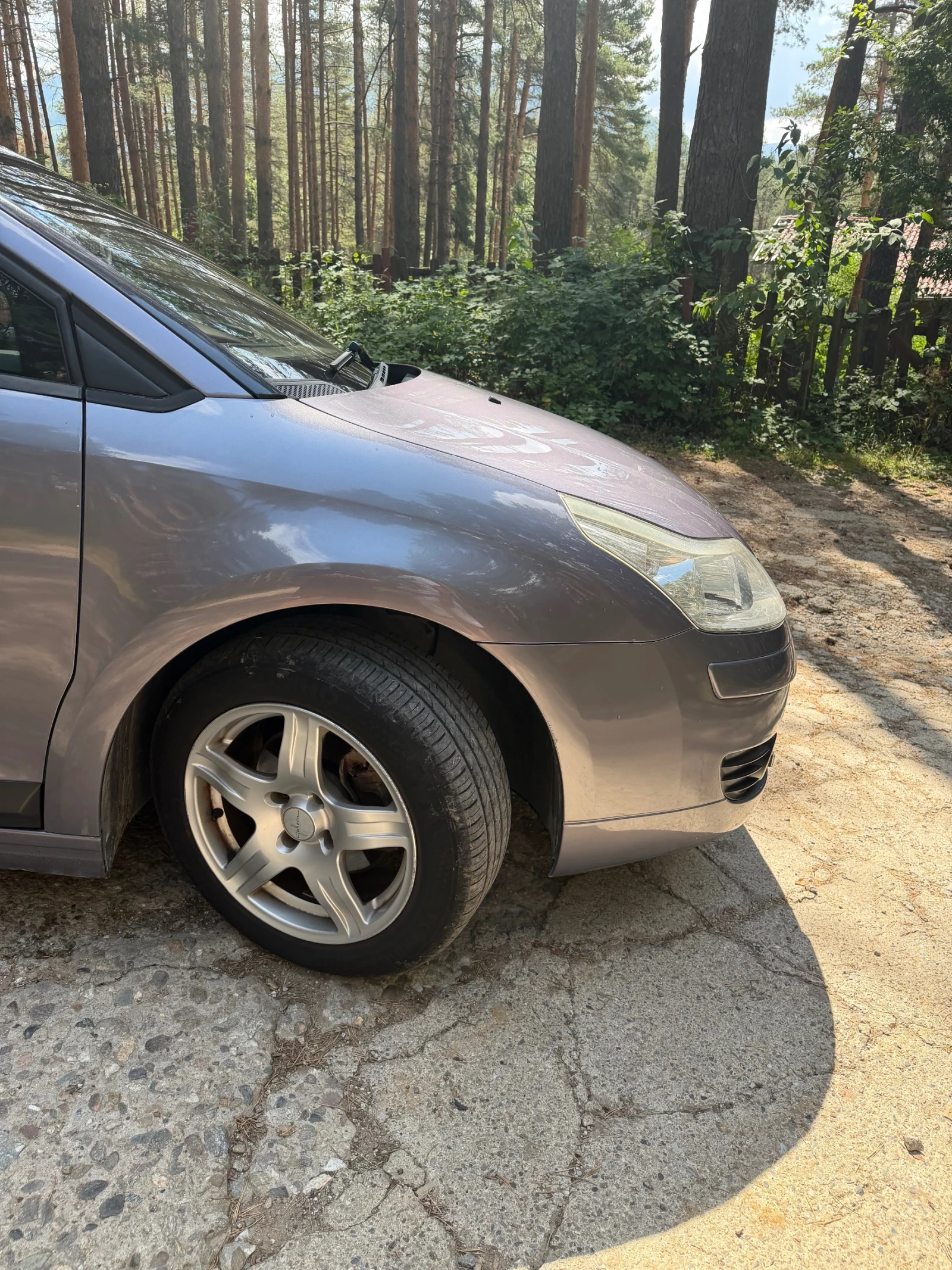 Citroen C4 1.6, снимка 6 - Автомобили и джипове - 55668119
