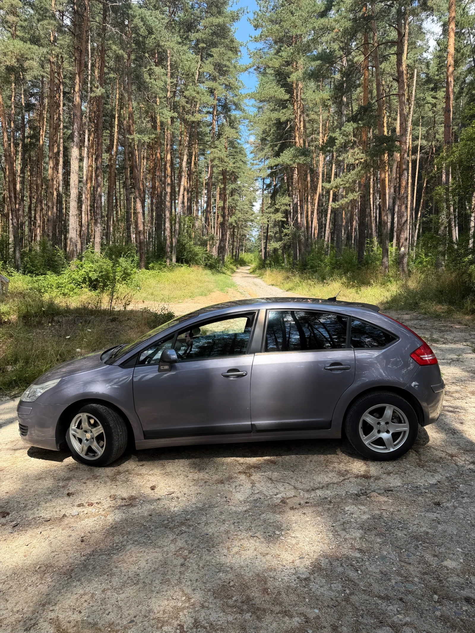 Citroen C4 1.6, снимка 8 - Автомобили и джипове - 55668119