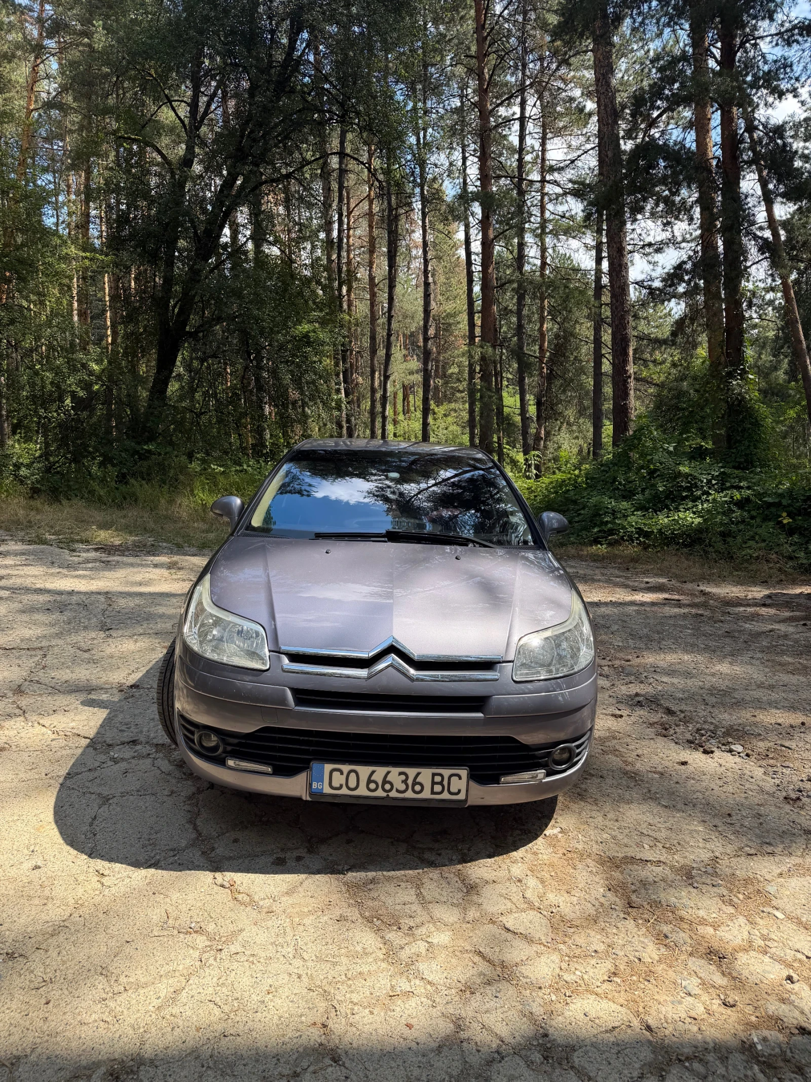 Citroen C4 1.6, снимка 5 - Автомобили и джипове - 55668119