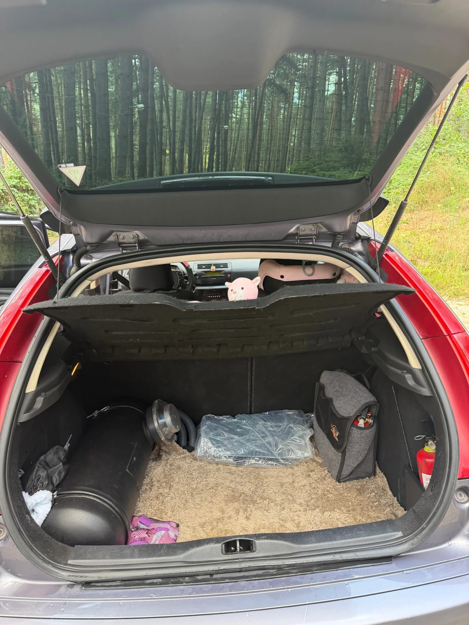 Citroen C4 1.6, снимка 10 - Автомобили и джипове - 55668119