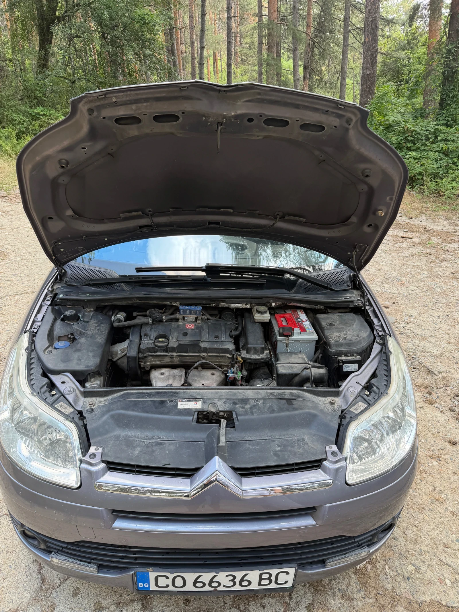 Citroen C4 1.6, снимка 12 - Автомобили и джипове - 55668119