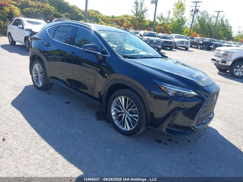 Lexus NX 350h PANO* ������ �����* 2����� | Mobile.bg � ����������� 1