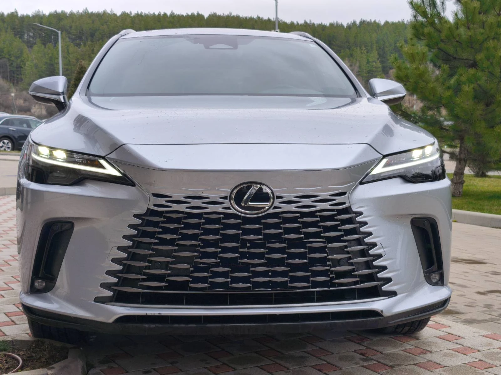 Lexus RX 450h plus Luxury Line AWD