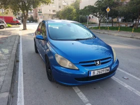     Peugeot 307