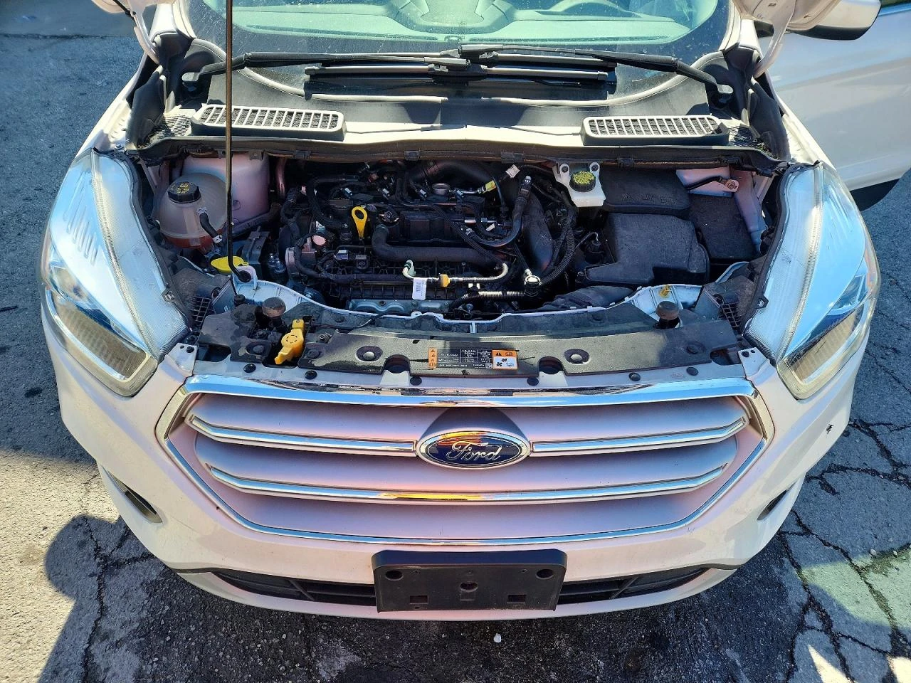 Ford Escape 1.5l Sel, снимка 12 - Автомобили и джипове - 56215108