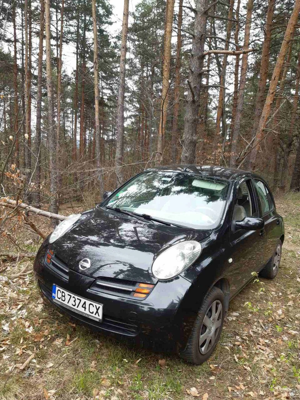 Nissan Micra K12 - изображение 4