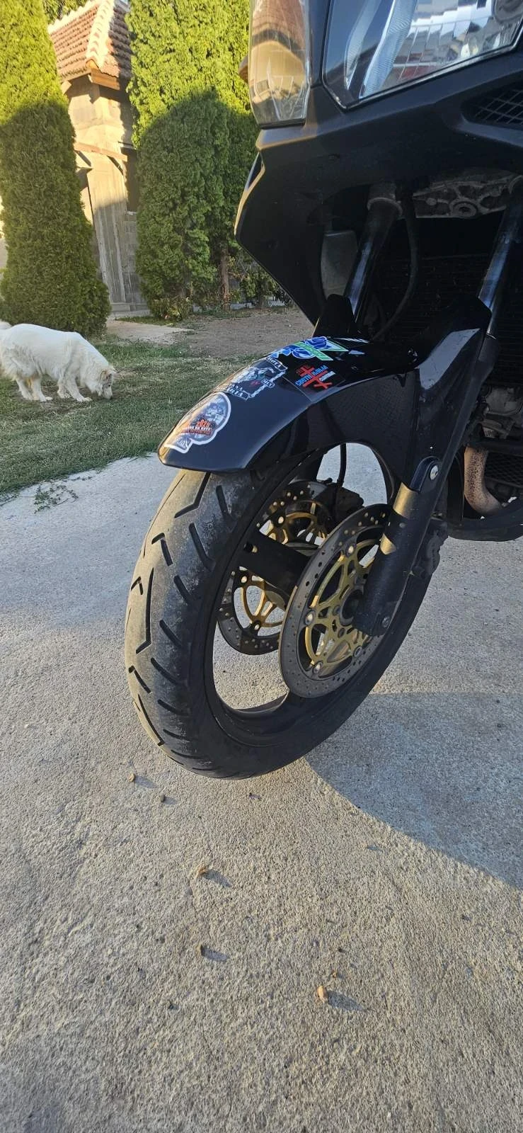 Suzuki V-strom  - изображение 9