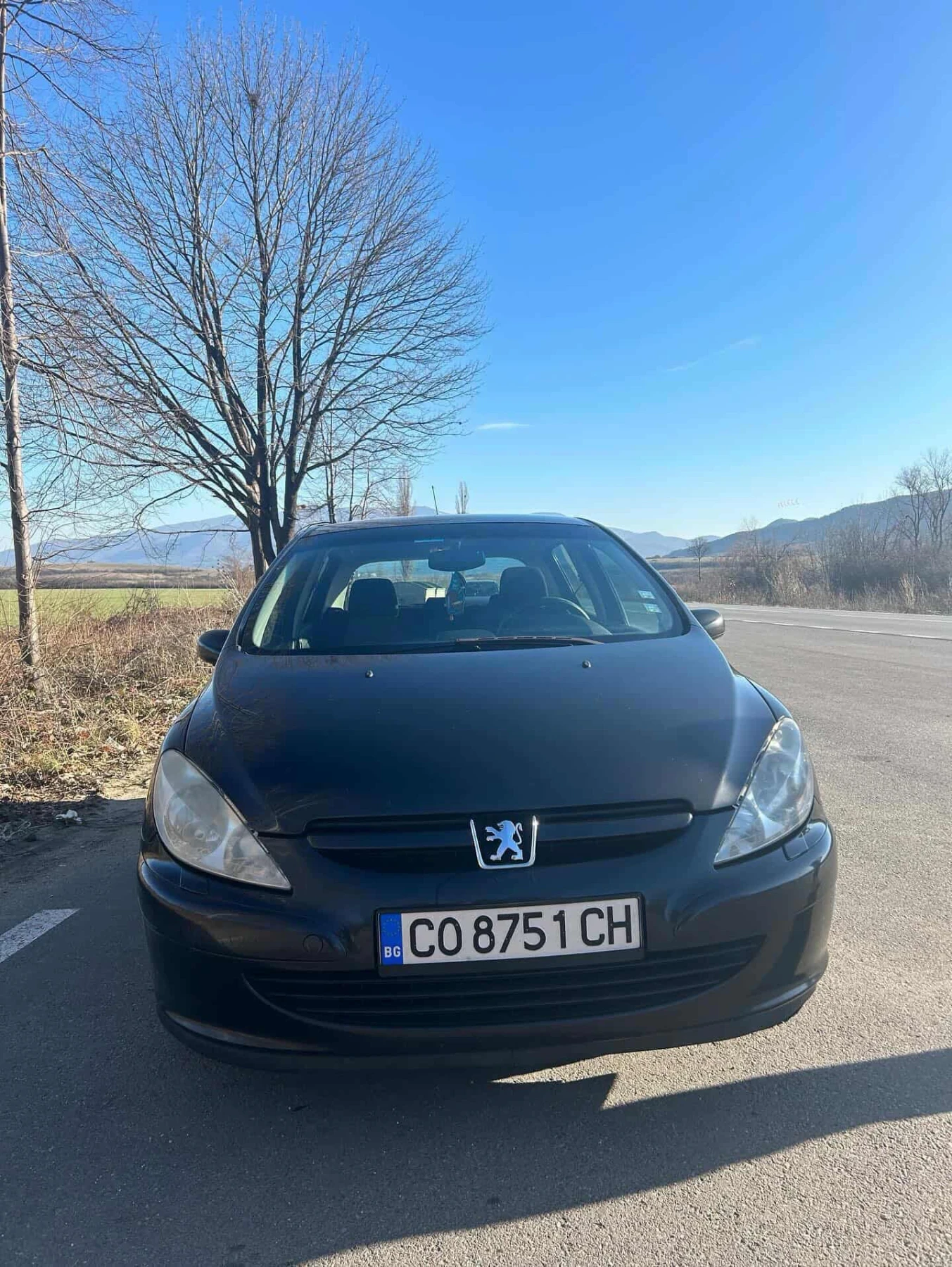 Peugeot 307