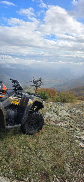 Kawasaki Brute Force 650i | Auto.bg — изображение 4