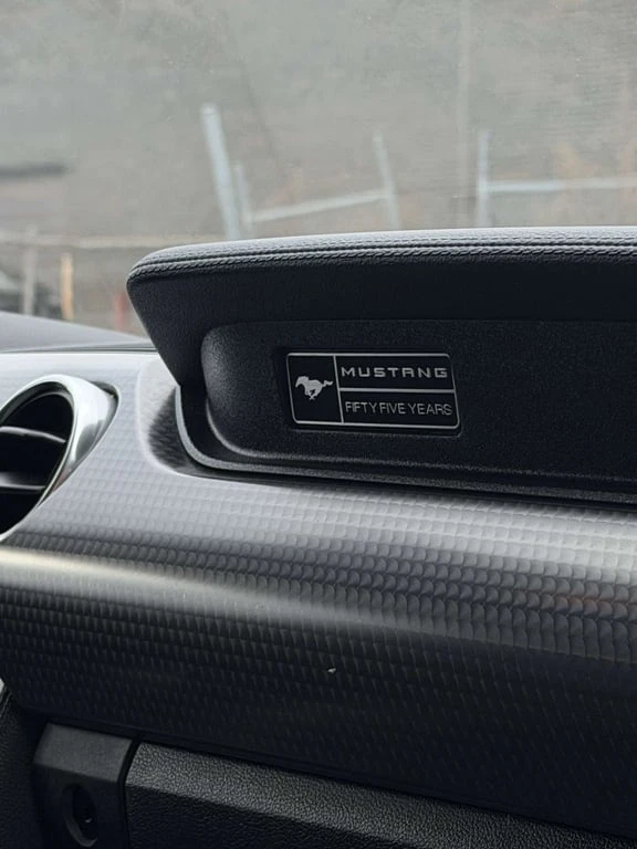 Ford Mustang GT Fastback Performance* CARFAX* ЦЕНА ДО БЪЛГАРИЯ, снимка 10 - Автомобили и джипове - 53264275