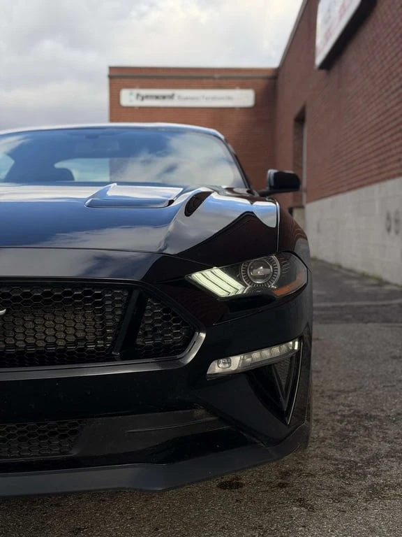 Ford Mustang GT Fastback Performance* CARFAX* ЦЕНА ДО БЪЛГАРИЯ, снимка 13 - Автомобили и джипове - 53264275