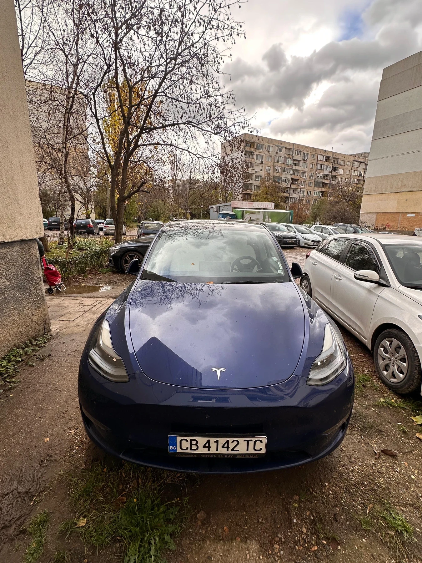Tesla Model Y | Mobile.bg � ����������� 1