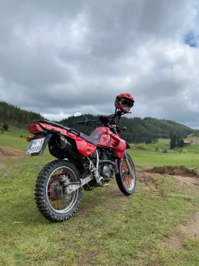 Kawasaki Klr 650 | Mobile.bg    12