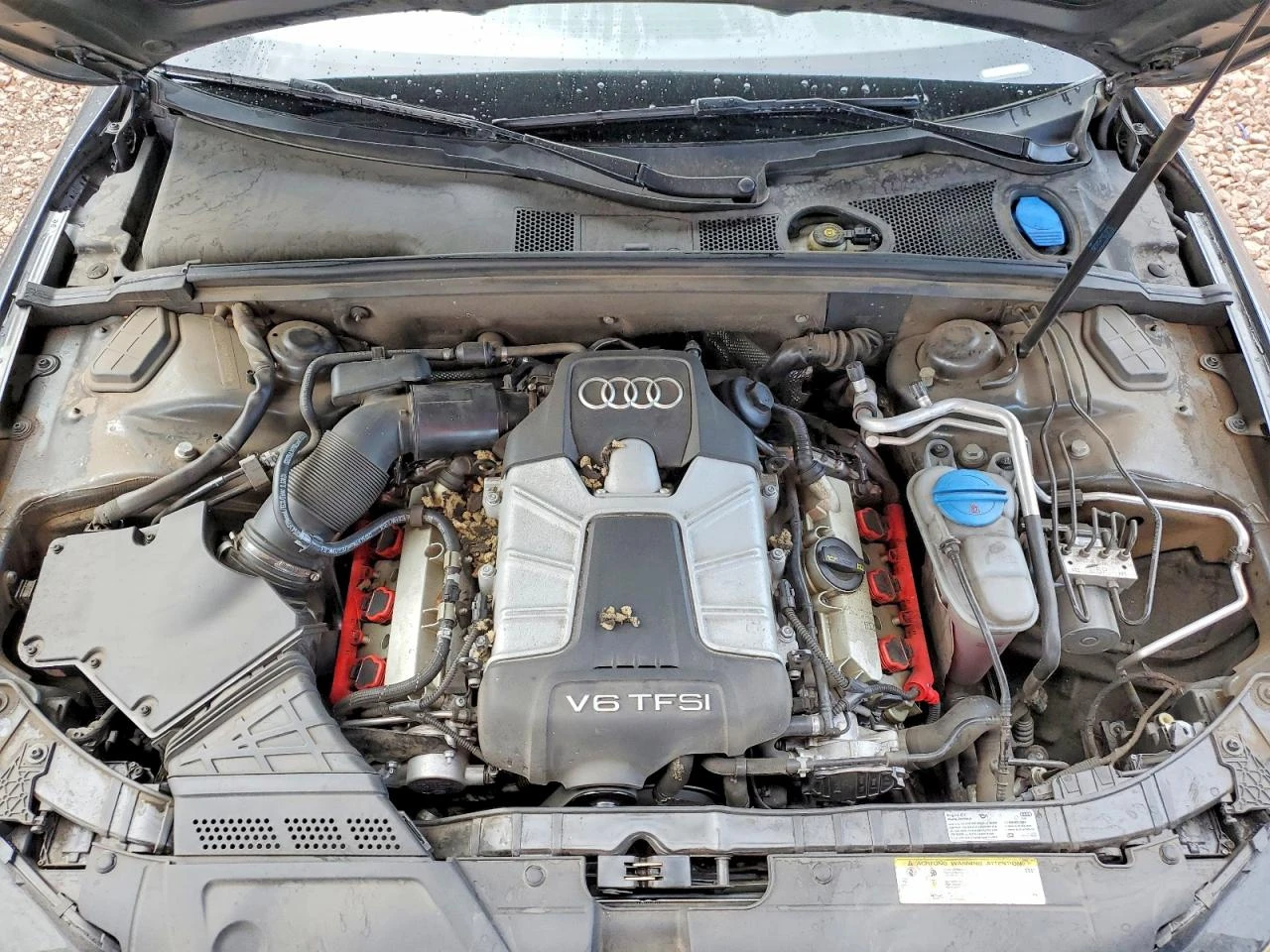 Audi S5 QUATTRO S TRONIC | Mobile.bg � ����������� 11