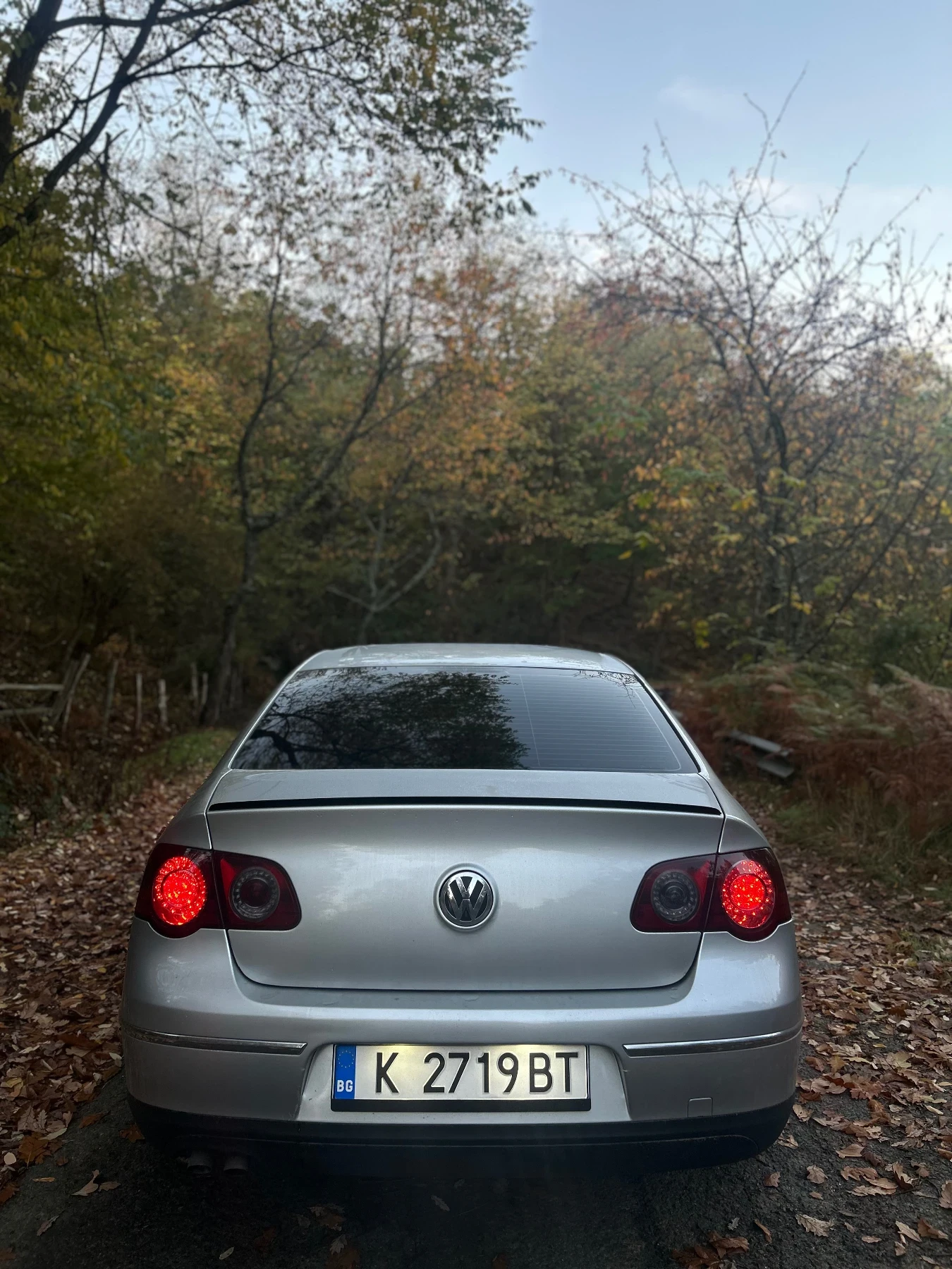 VW Passat  - изображение 2