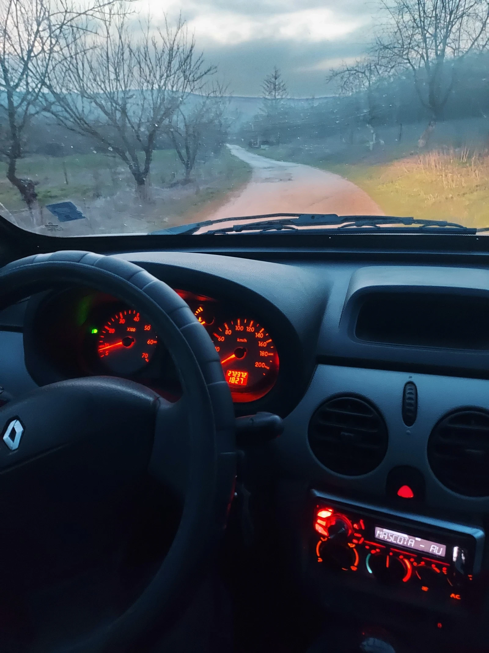 Renault Kangoo 1.9 DCI 4x4, снимка 11 - Автомобили и джипове - 53714324