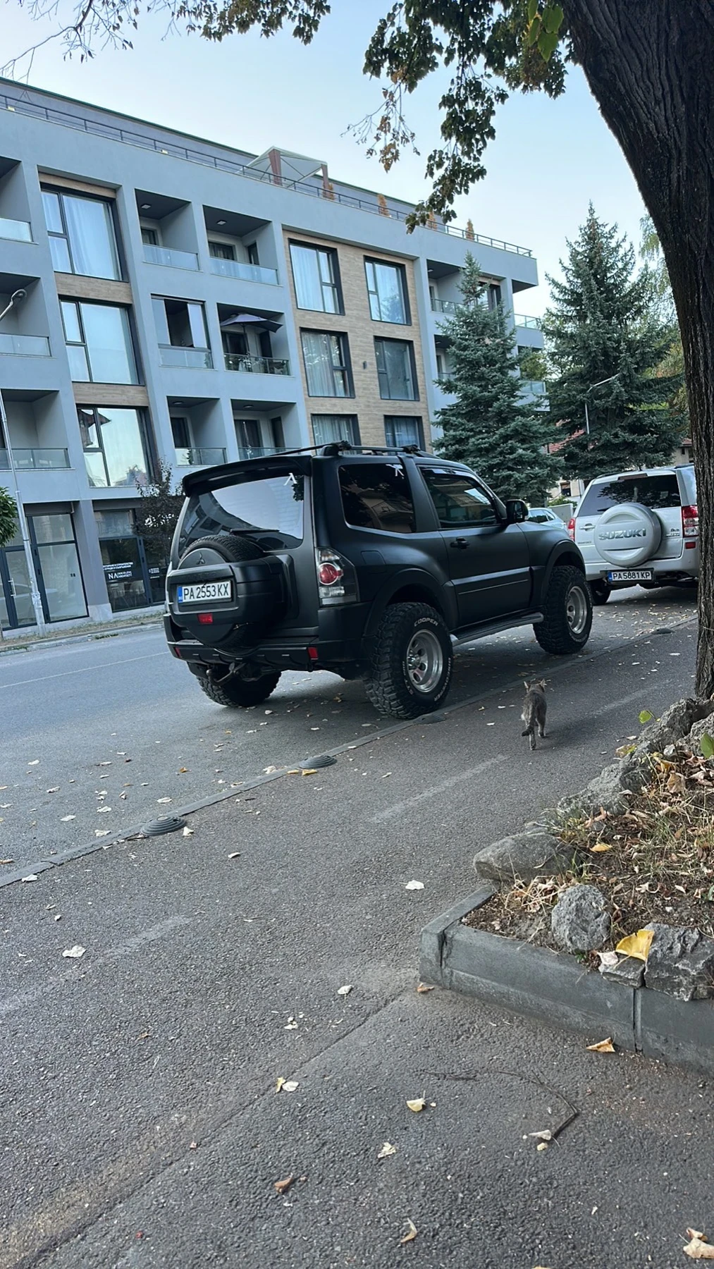 Mitsubishi Pajero  - изображение 5