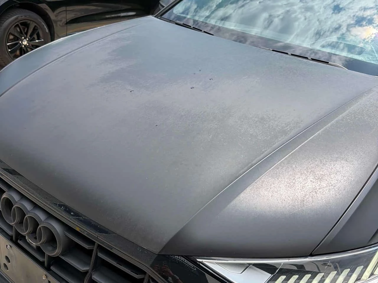 Audi Q8 Technik  CARFAX, снимка 13 - Автомобили и джипове - 55741575