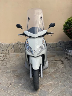 Peugeot Geopolis 250i, снимка 1