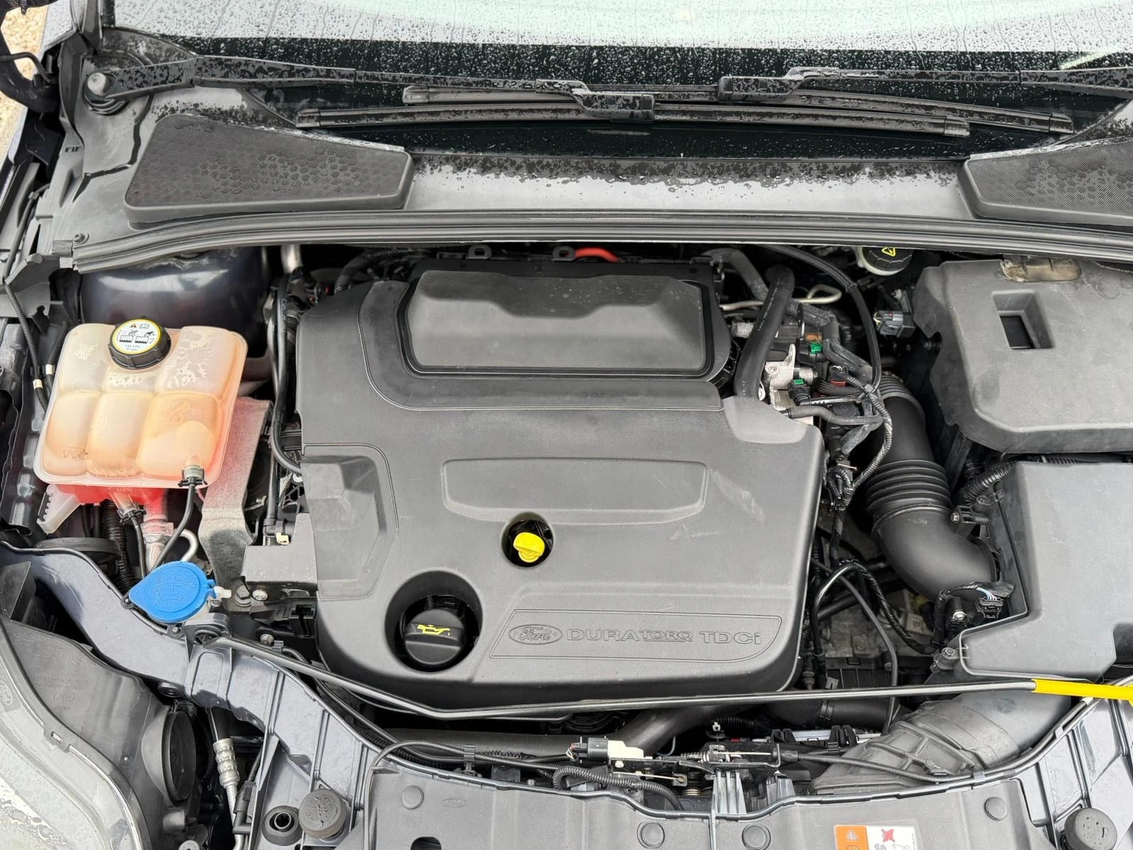 Ford Focus 2.0 ����� ������� | Mobile.bg � ����������� 15